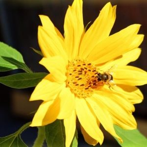 Meet your Posher, Kaitlin